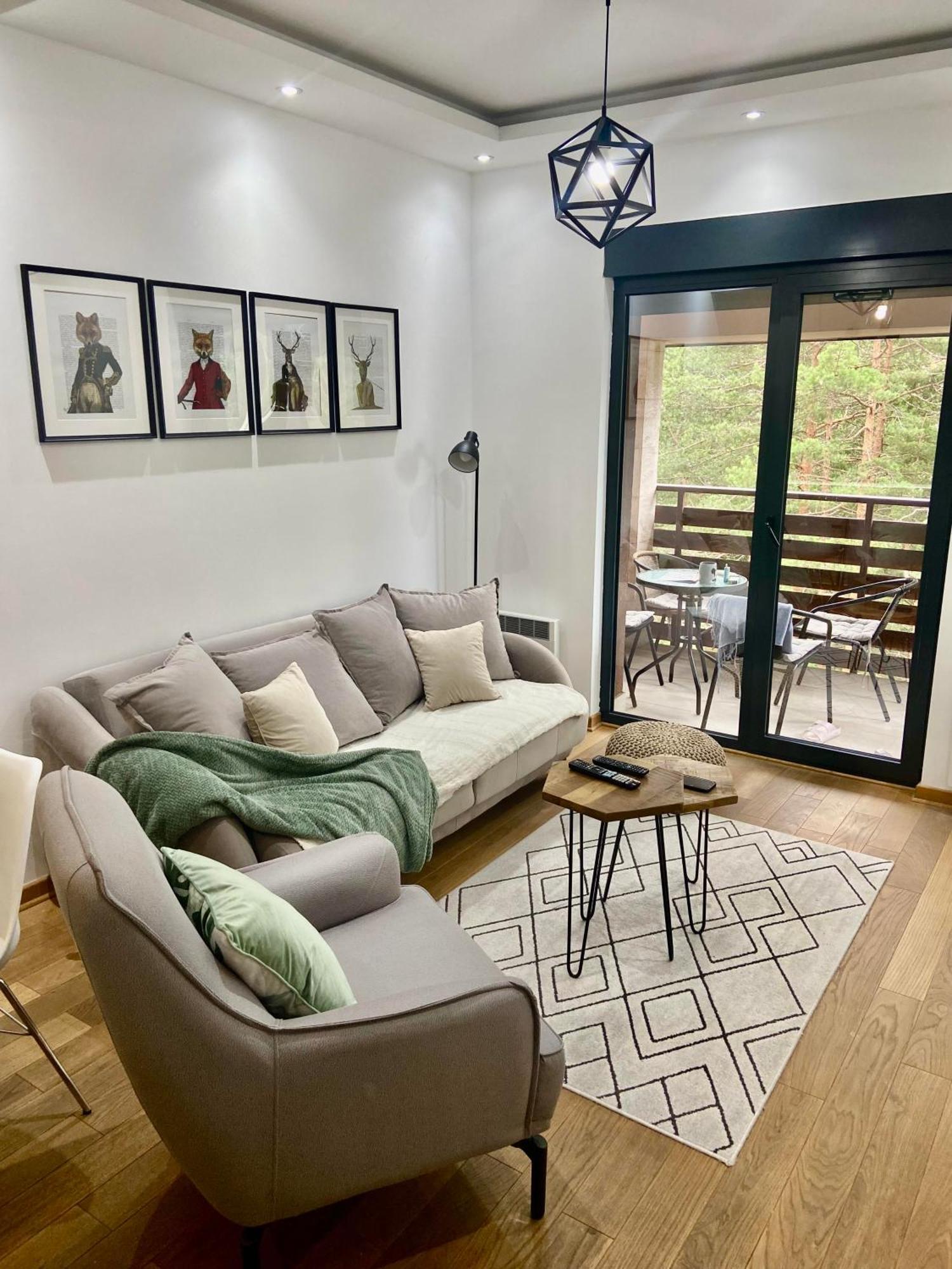 Apartment Pino Bianco 2 - Vila Pekovic Zlatibor Kültér fotó